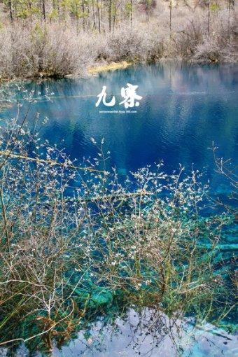 水中余氯在线监测设备
