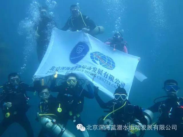 爱吃叶子的毛毛虫