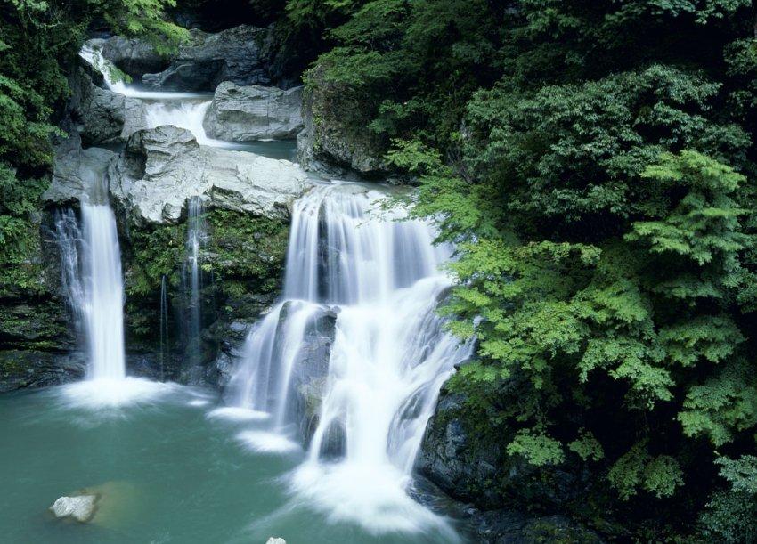 逃离森林小房