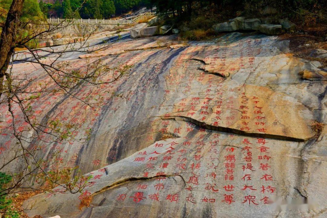 机智问答网页-深度解析女子试戴戒指戴上就跑,被抓后坦言因为喜欢!为何偷盗还能如此理直气壮?的疑问